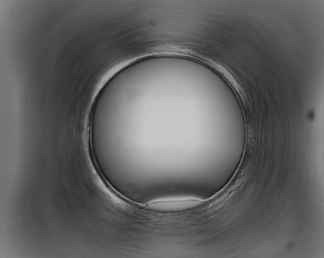 X0000100761387200806190859