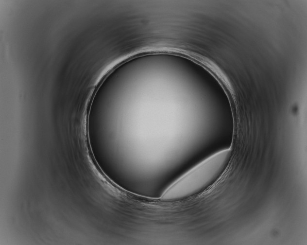 X0000100761388200806190859