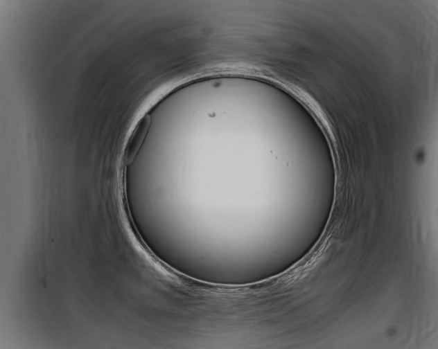 X0000100761389200806190859