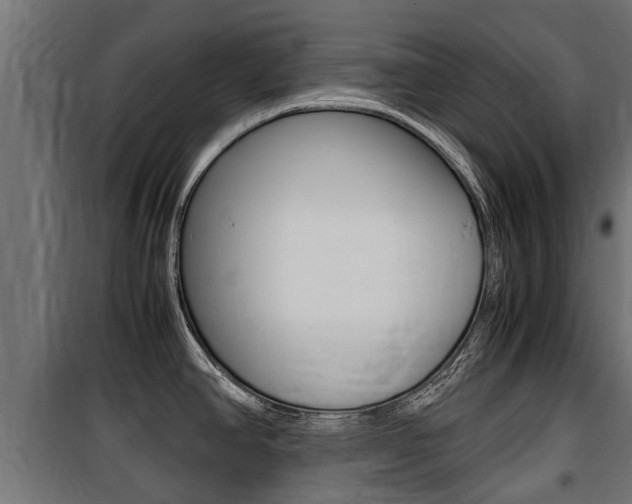 X0000100761390200806190859