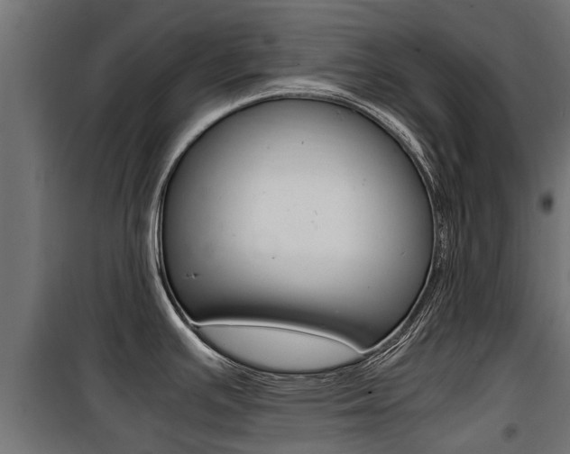 X0000100761391200806190859