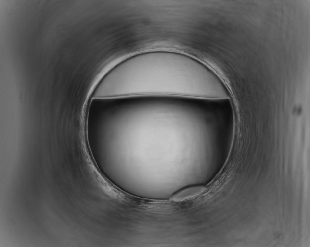 X0000100761392200806190859