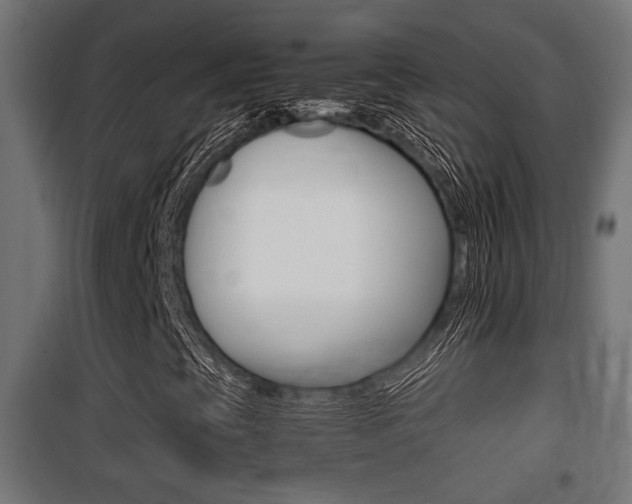 X0000100761393200806190858