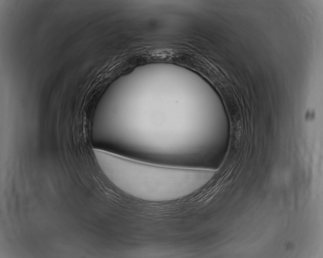 X0000100761394200806190858