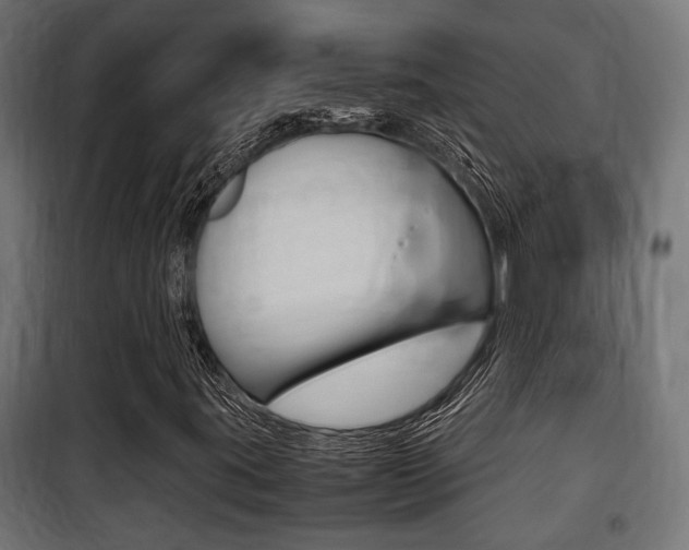 X0000100761395200806190858