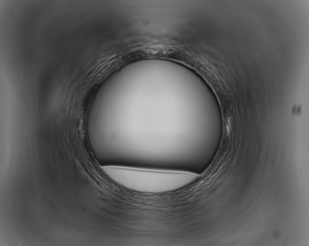 X0000100761396200806190858