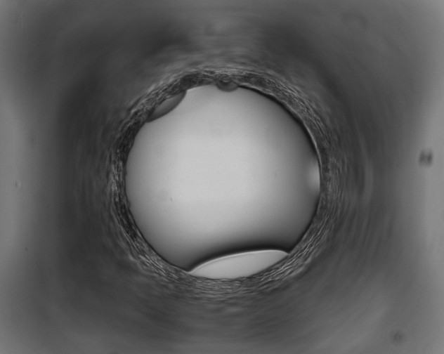 X0000100761397200806190858