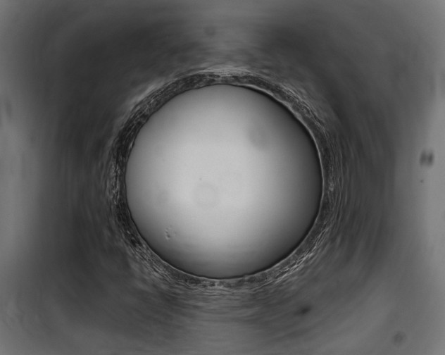 X0000100761398200806190858