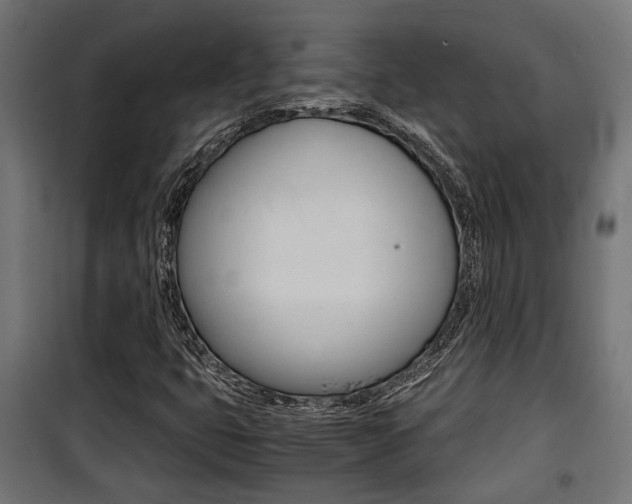 X0000100761399200806190858