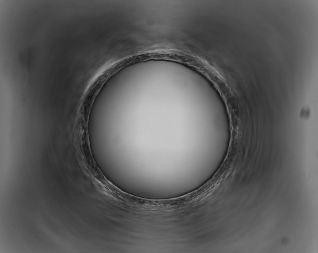 X0000100761400200806190858