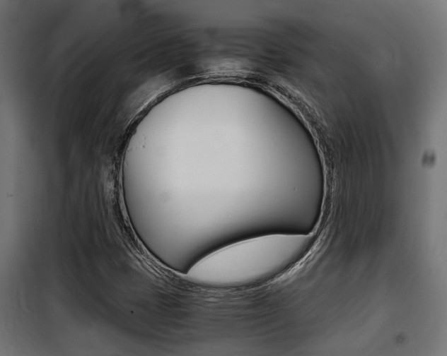 X0000100761401200806190858