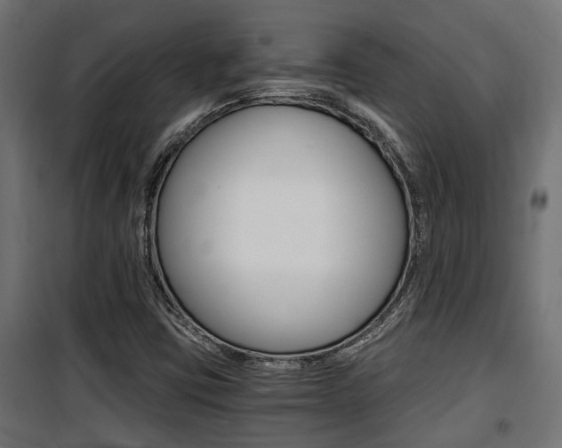 X0000100761403200806190858