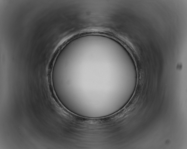 X0000100761404200806190858
