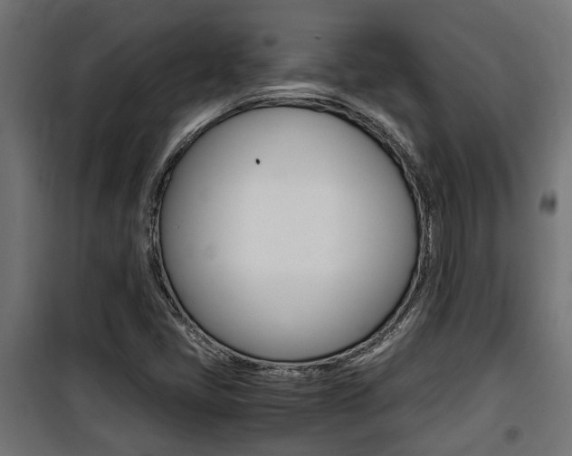X0000100761405200806190858