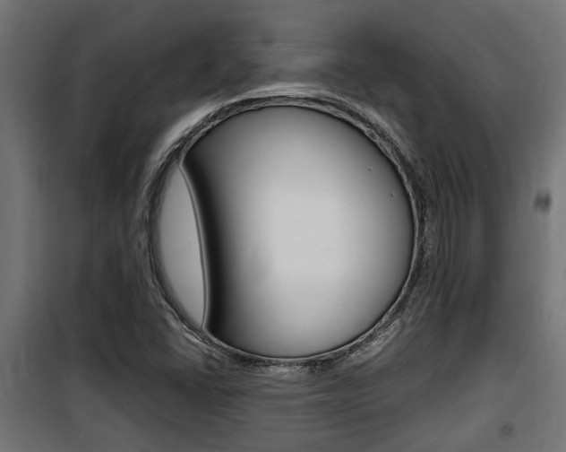 X0000100761406200806190858