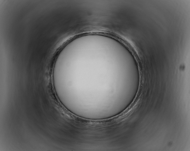 X0000100761407200806190858