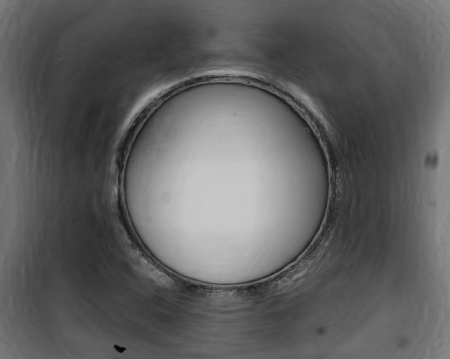 X0000100761408200806190858
