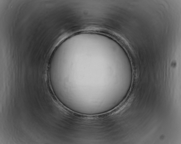 X0000100761409200806190858