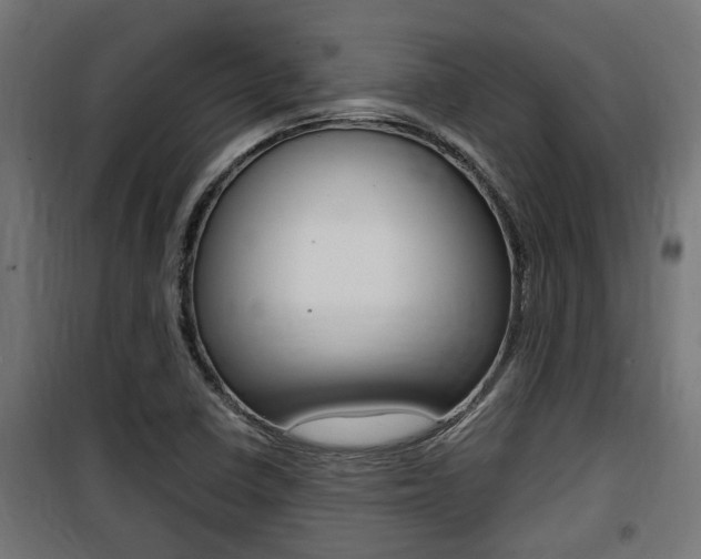 X0000100761410200806190858