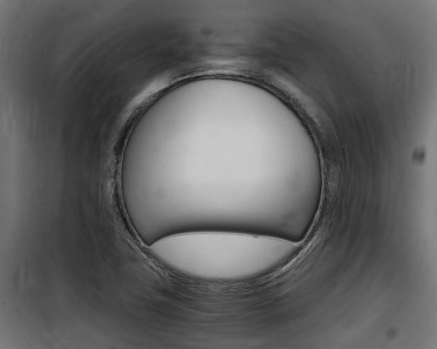 X0000100761411200806190858