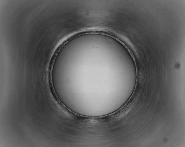 X0000100761412200806190858