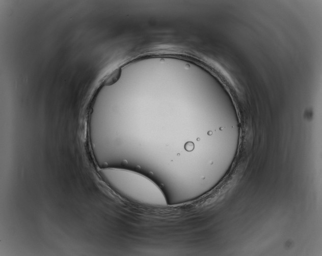 X0000100761413200806190858