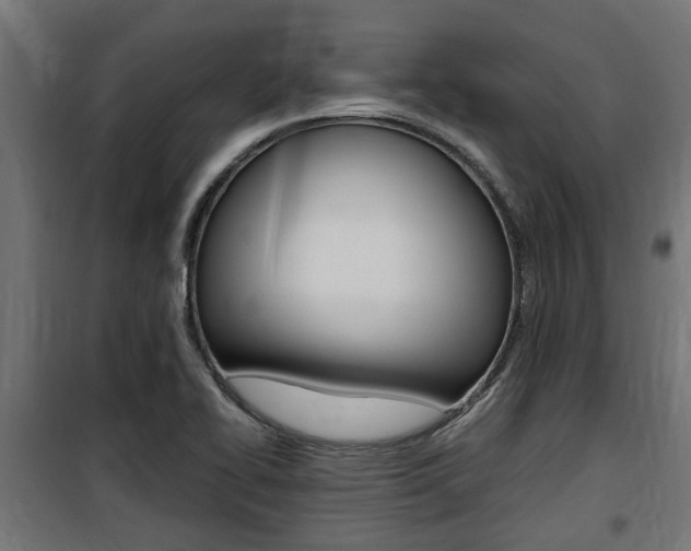 X0000100761414200806190858