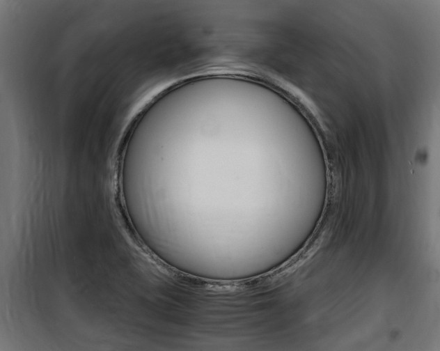 X0000100761415200806190858