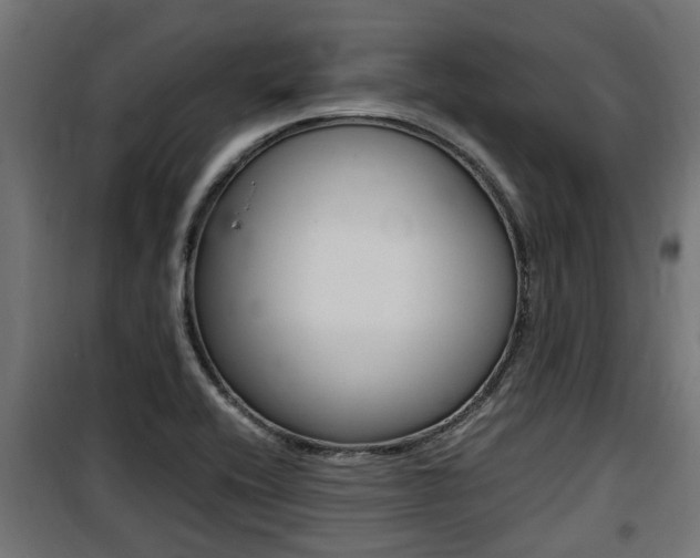 X0000100761416200806190858