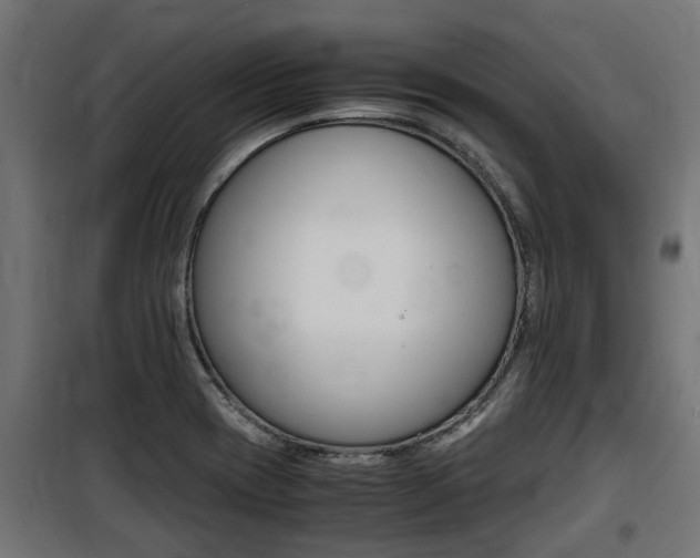 X0000100761417200806190858