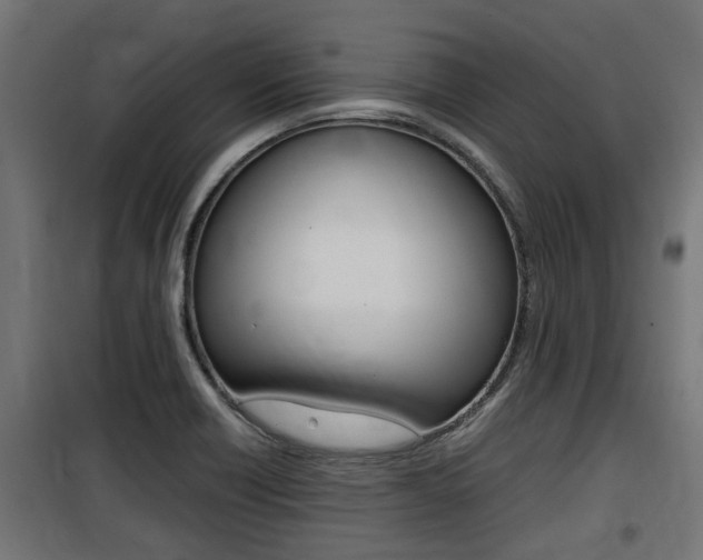 X0000100761418200806190858
