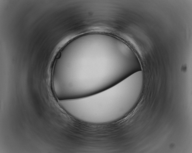 X0000100761419200806190858