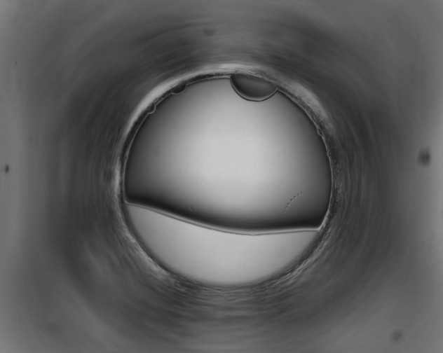 X0000100761420200806190858