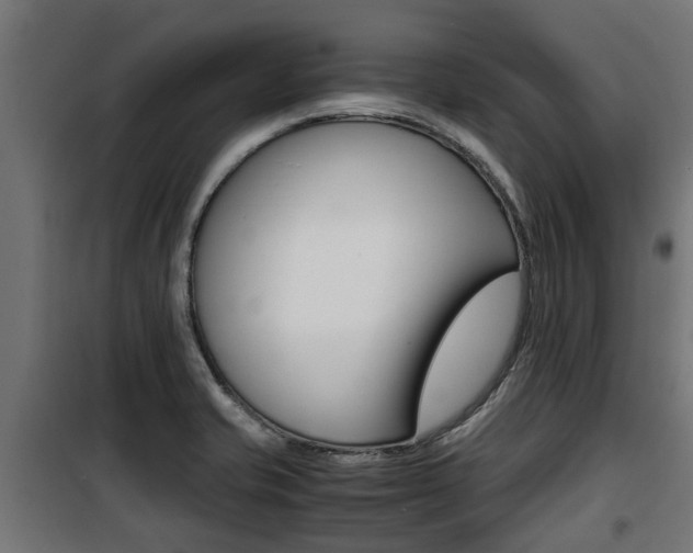 X0000100761421200806190858