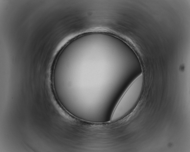 X0000100761422200806190858