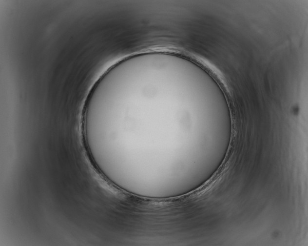 X0000100761423200806190858