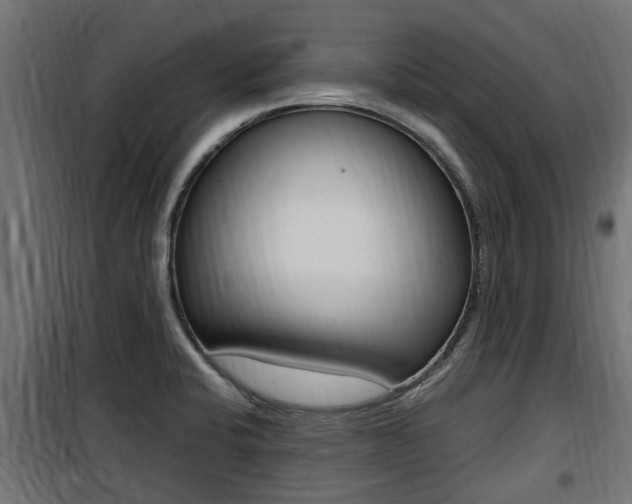 X0000100761424200806190858