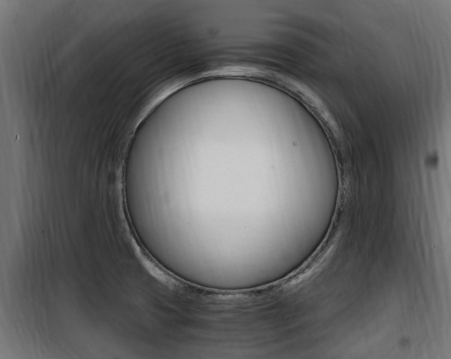 X0000100761425200806190859