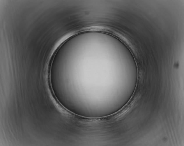 X0000100761426200806190859