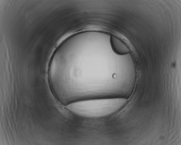 X0000100761427200806190859