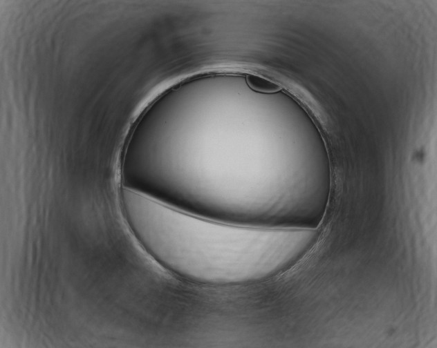 X0000100761428200806190859