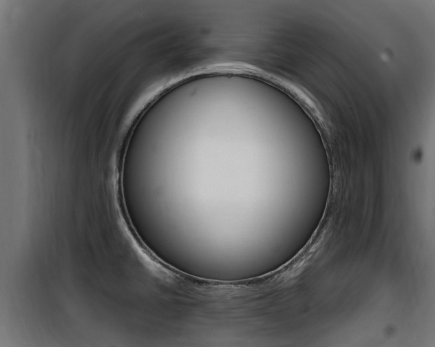 X0000100761430200806190859
