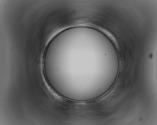 X0000100761431200806190859