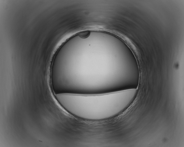 X0000100761432200806190859