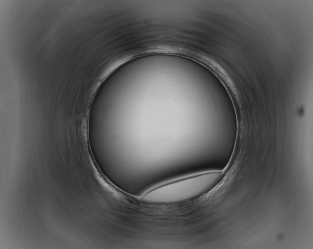 X0000100761433200806190859