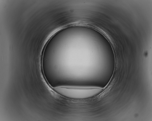 X0000100761434200806190859