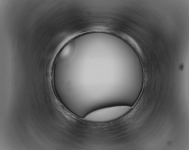 X0000100761435200806190859