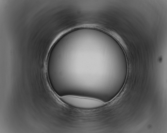 X0000100761436200806190859