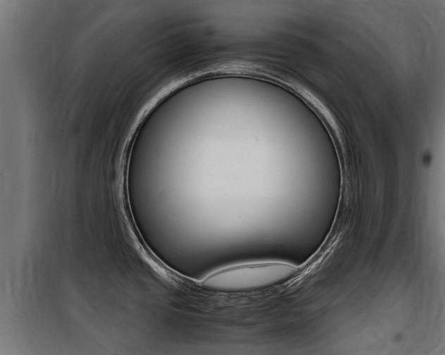 X0000100761437200806190859