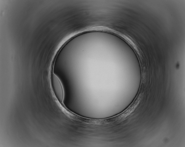 X0000100761438200806190859